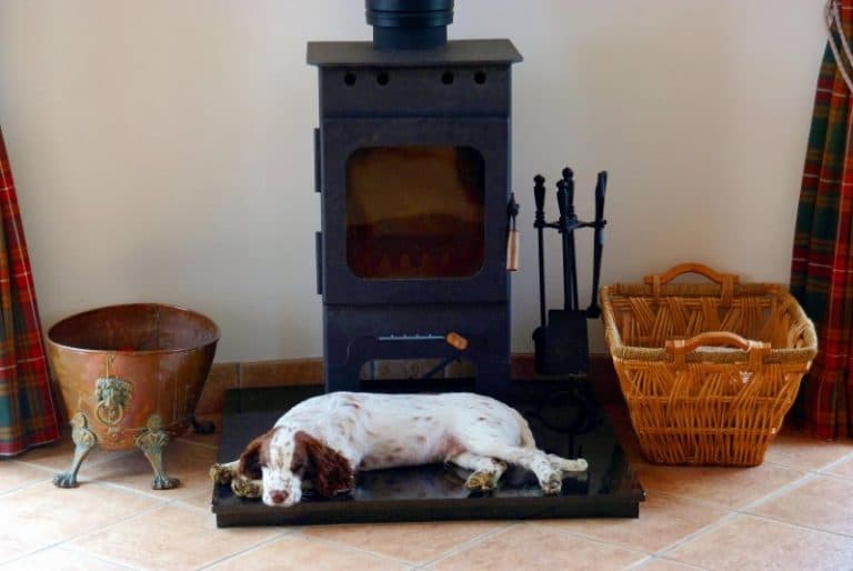 dog laying by log burning stove