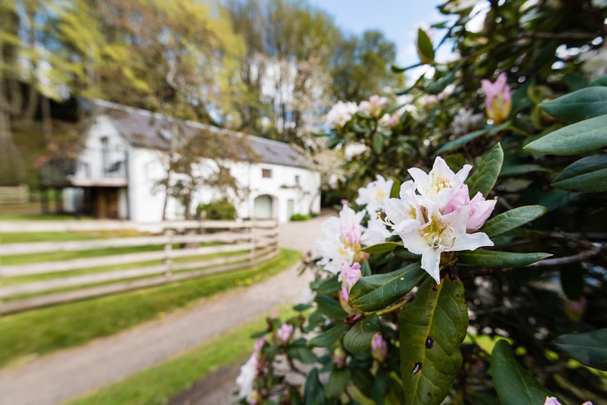 View of holiday cottage in springtime