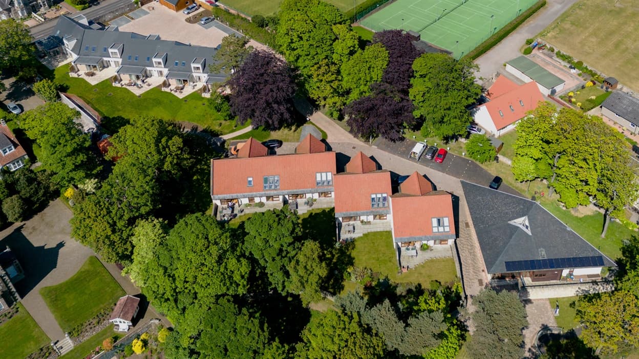 An image of the lodges at Homelands set in mature woodlands.